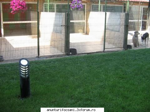 pensiune canina si felina o de lux in bucuresti cele mai mici preturi din mixte pentru catei,de 15mp