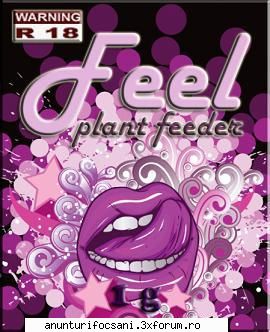 distribuim en gros plante noi incense si plant feeders la preturi mici. pentru catalogul de produse